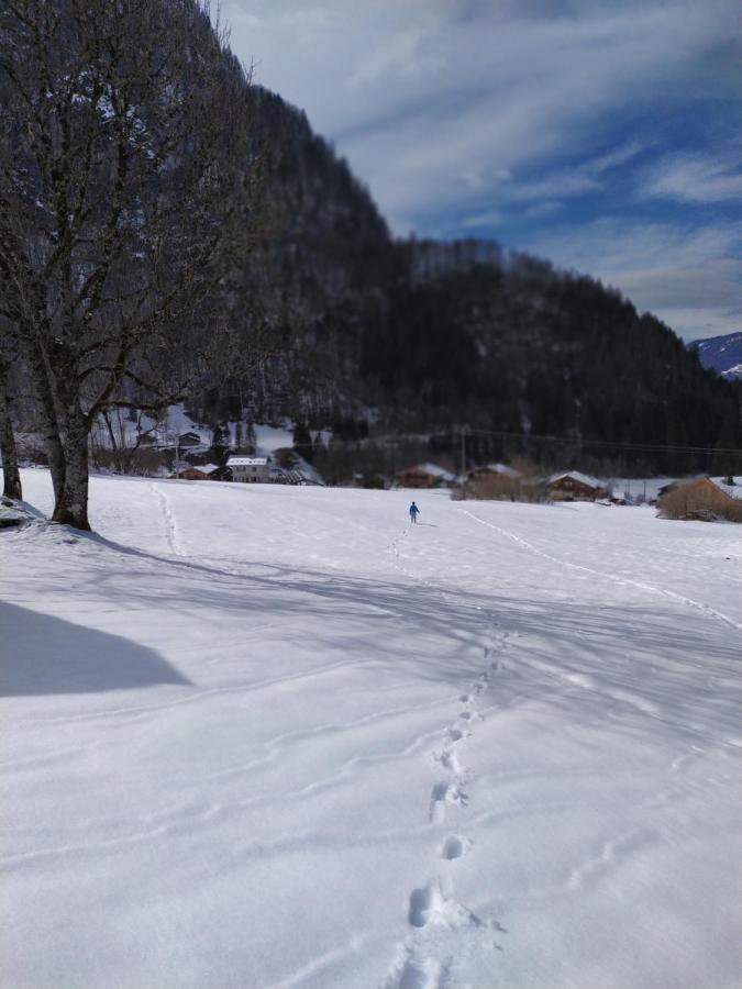 Le Clair Logis Villa Sixt Exterior foto